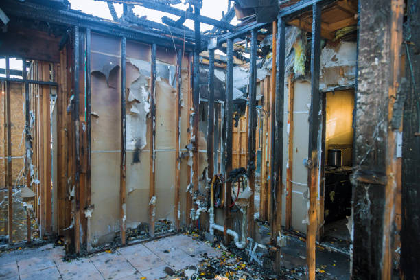 Professional Fire Damage Removal technician working in Cottage Grove, MN
