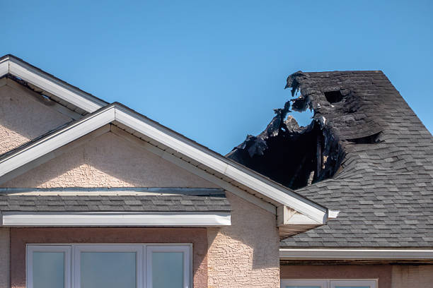 Top rated local Fire Damage Removal specialists in Cottage Grove, MN